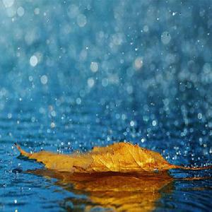 我吸老师的丰满大乳奶水视频
